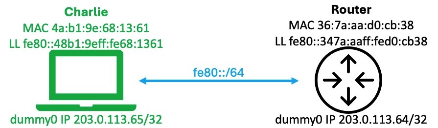 Charlie a Router: dva síťové uzly propojené sítí bez globálních IP adres. Pro komunikaci a konfiguraci routování využívají IPv6 link-local adresy.