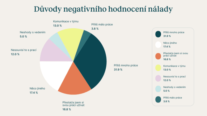 Důvody negativního hodnocení