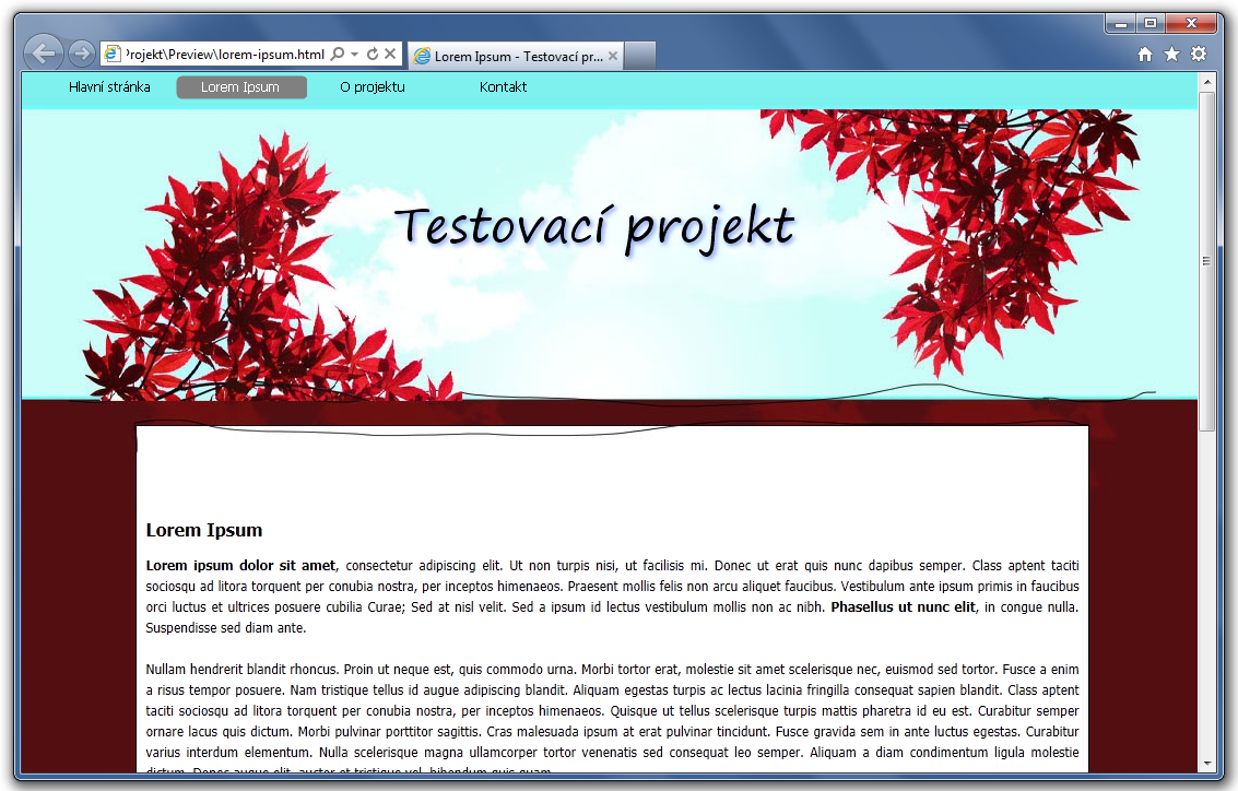 Náhled testovací stránky vytvořené ve WebSite X5 Evolution 9