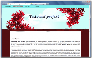 Náhled testovací stránky vytvořené ve WebSite X5 Evolution 9