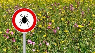 Náhledový obrázek - Neléčená lymská borelióza může vést až k ochrnutí. Zásadní je včasná diagnóza