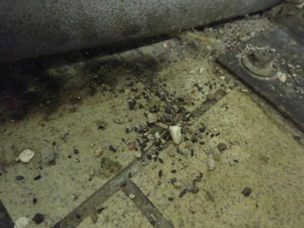 Restaurace a pivovar U dvou koček (kontrolovaná osoba Aleš Hrdina), Uhelný trh 415/10, Praha. V prostorách provozovny byly na mnoha místech zjištěny exkrementy hlodavců (sklad potravin za kuchyní, sklad v suterénu, kuchyň i mycí místnost). V provozovně nebyla provedena dostatečná opatření před vniknutím hlodavců dovnitř skladových prostor. Výroba pekařských výrobků fungovala v hygienicky zcela neodpovídajících podmínkách, zahrnujících například plesnivé opadávající stěny, stropy a nezajištěný přívod teplé a studené vody.