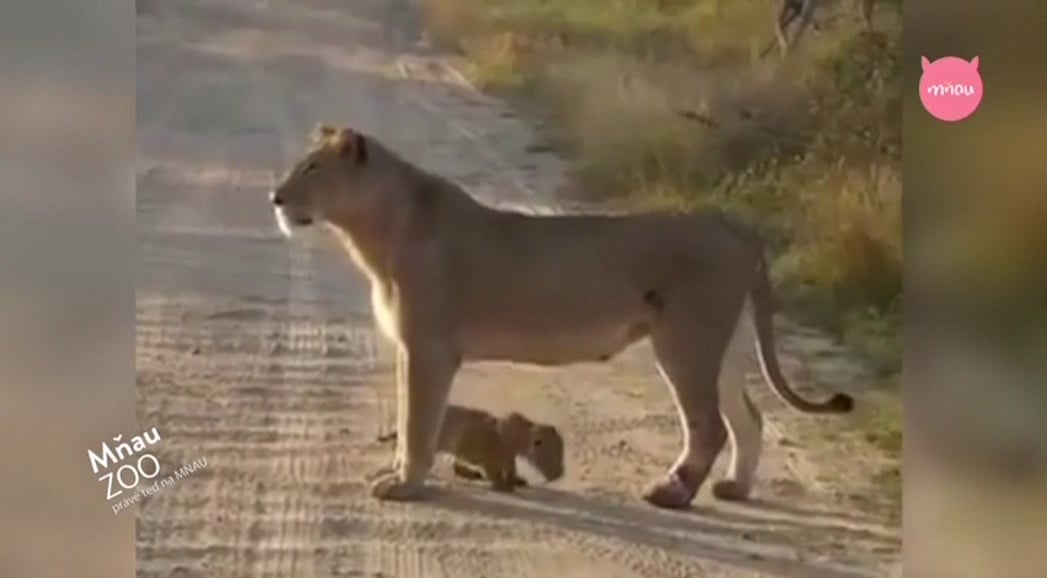 Nejzajímavější satelitní kanály v březnu 2017