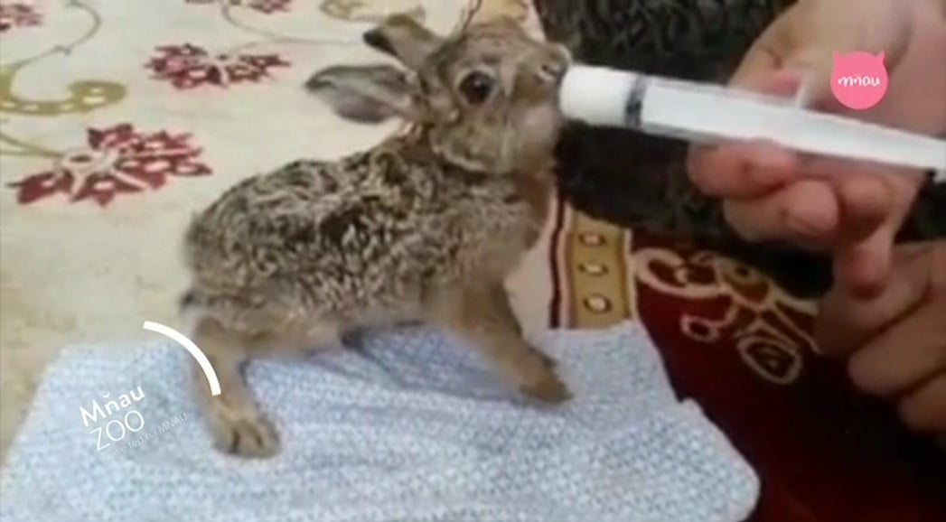 Nejzajímavější satelitní kanály v březnu 2017