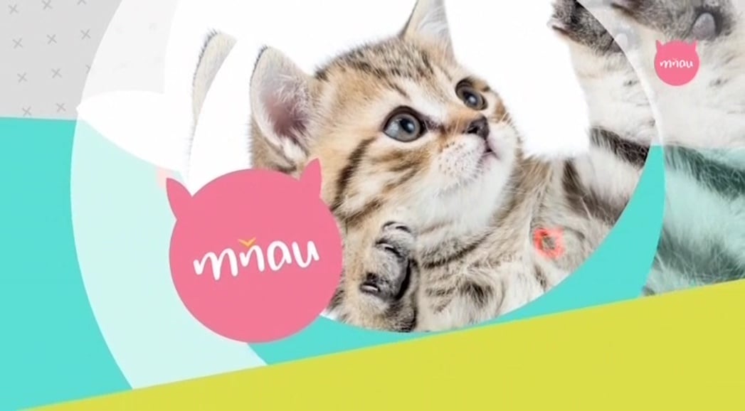 Nejzajímavější satelitní kanály v březnu 2017