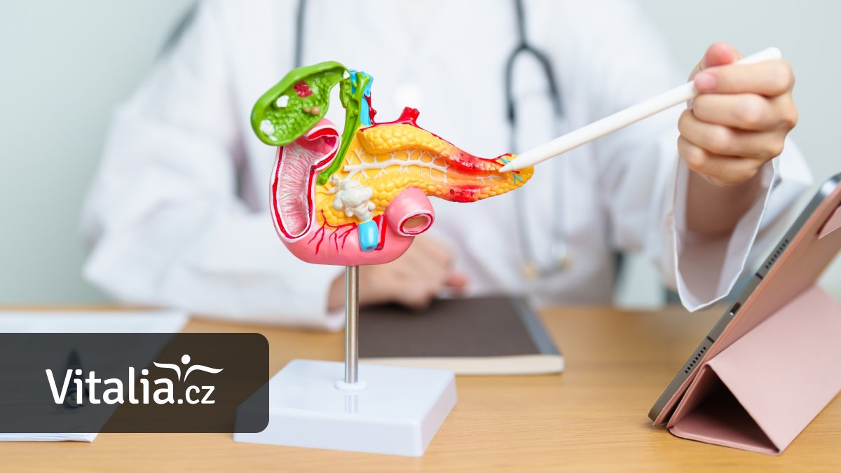 Prevence rakoviny slinivky odhalila už tři nádory. V USA schválili první test z krve