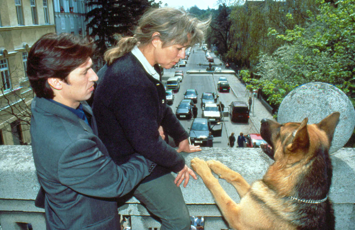 Komisař Rex poprvé na českých obrazovkách v HD kvalitě