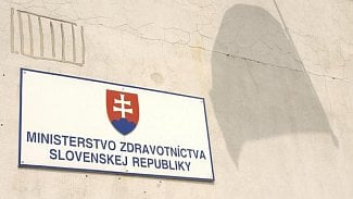 Náhledový obrázek - Slovenské nemocnice opustilo 540 sester, akutní péče je zajištěna