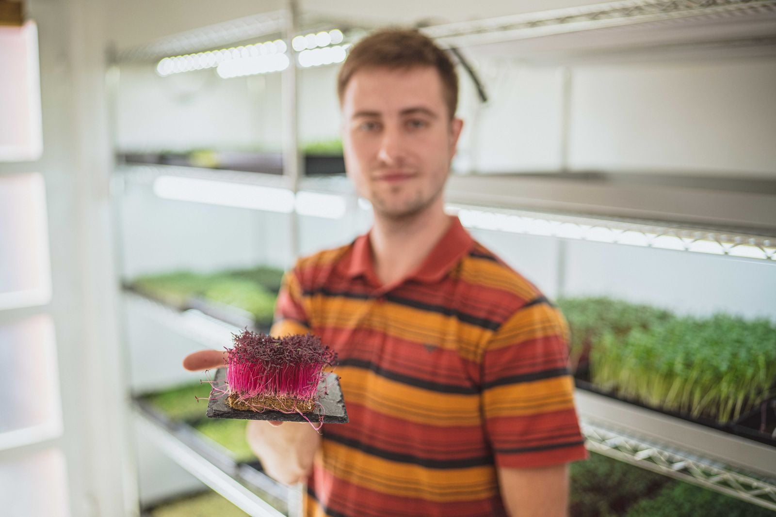 Za své amarantové výhonky získal Tomáš Lecián ocenění Regionální potravina v Moravskoslezském kraji