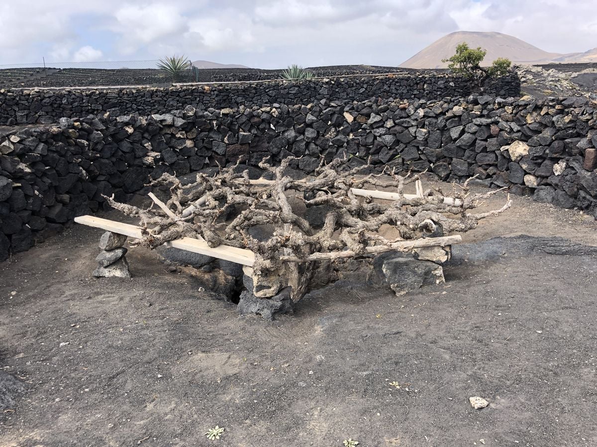 Na Kanárských ostrovech: ostrov Lanzarote