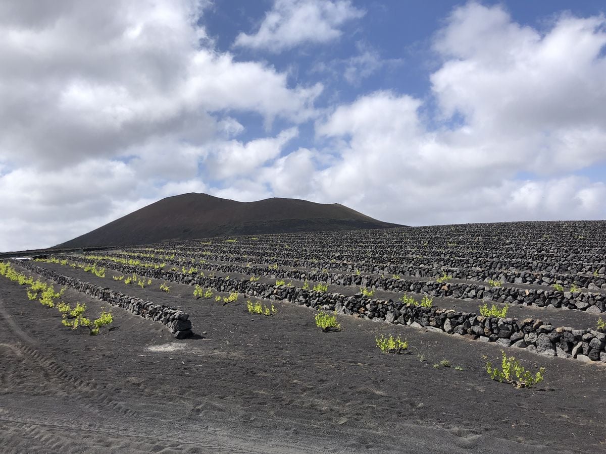 Na Kanárských ostrovech: ostrov Lanzarote