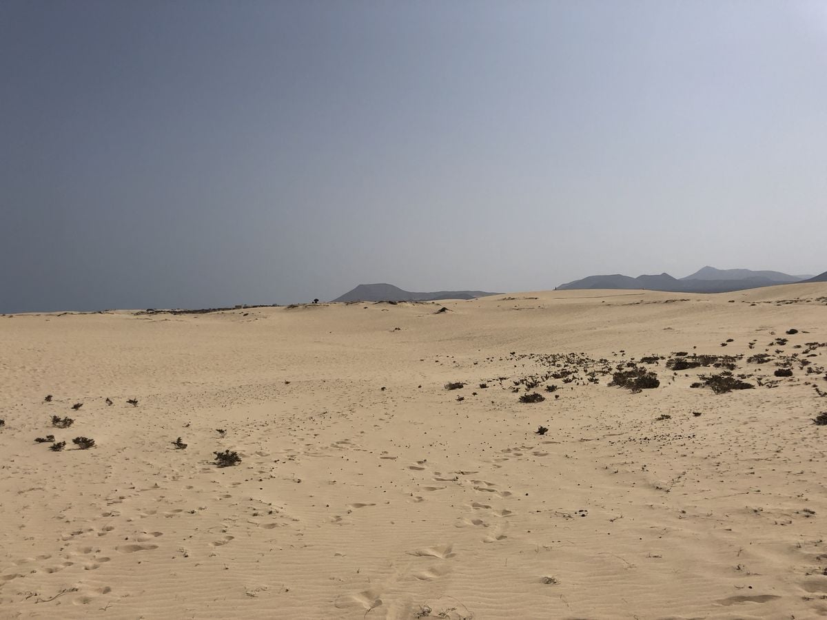 Na Kanárských ostrovech: pouštní ostrov Fuerteventura