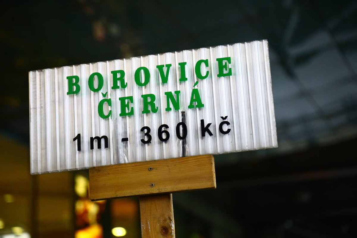 Prodej vánočních stromků