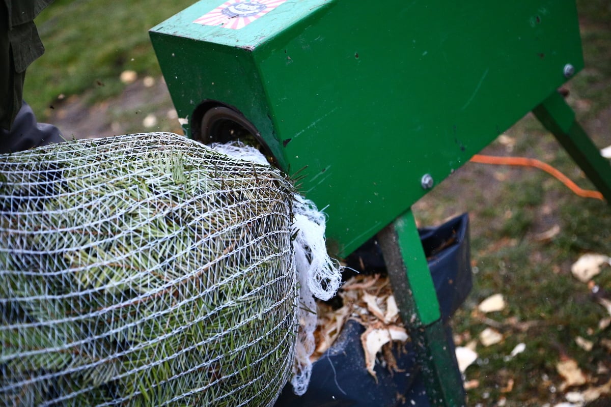 Prodej vánočních stromků