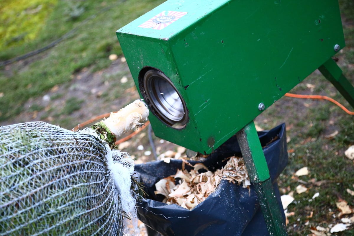 Prodej vánočních stromků