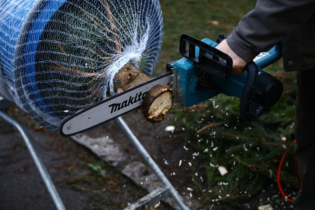 Prodej vánočních stromků