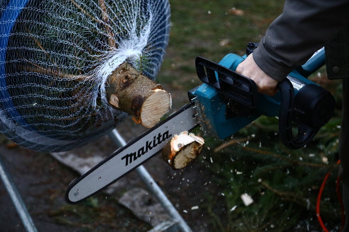 Prodej vánočních stromků