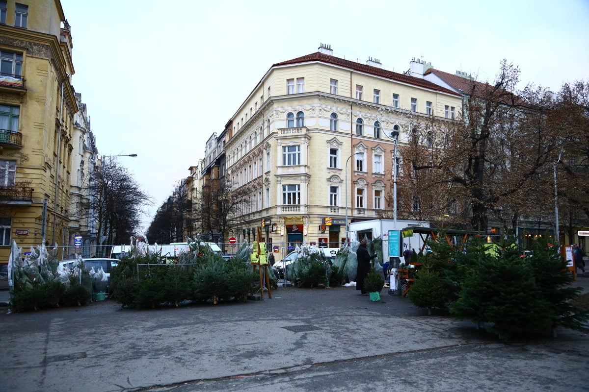 Prodej vánočních stromků