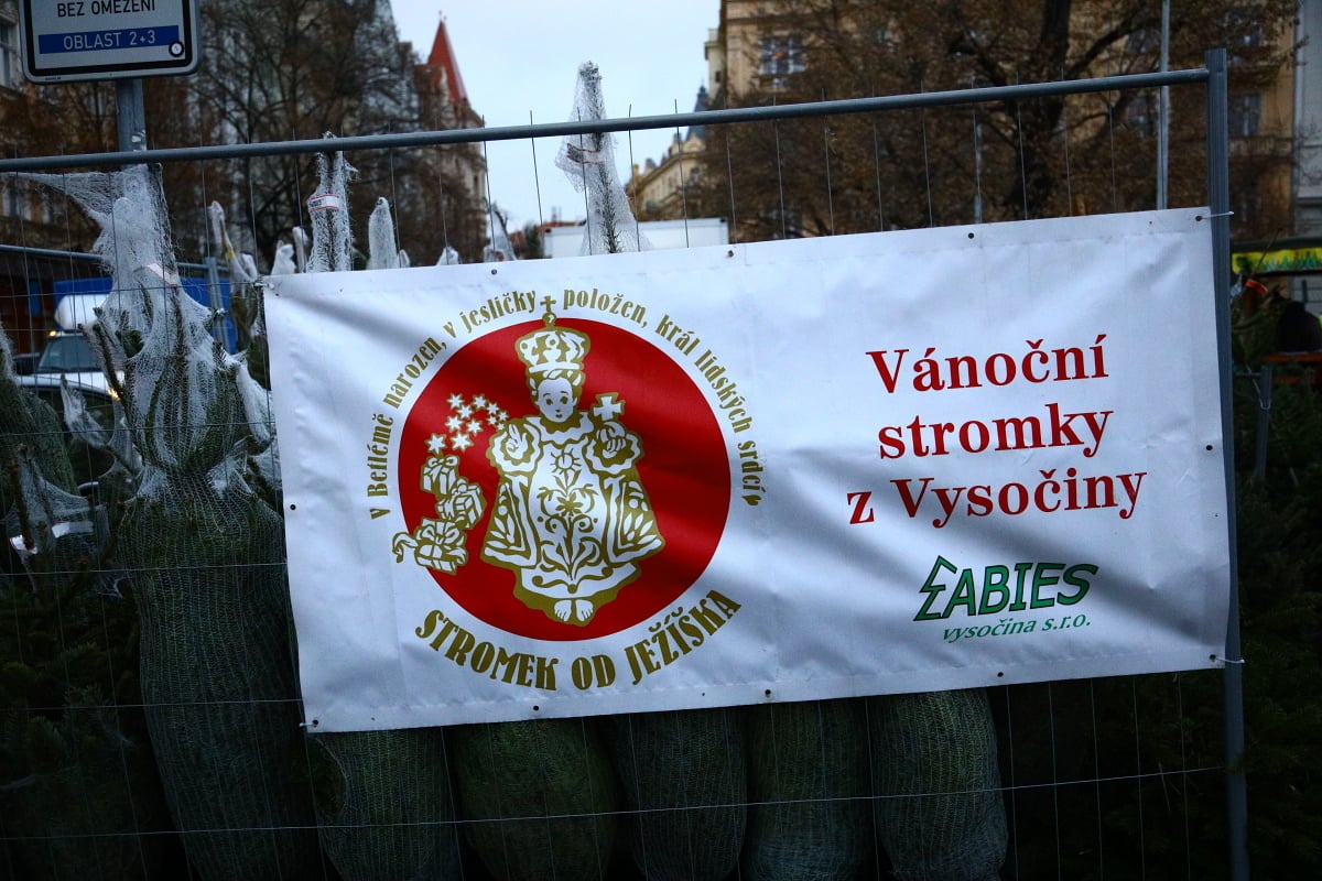 Prodej vánočních stromků