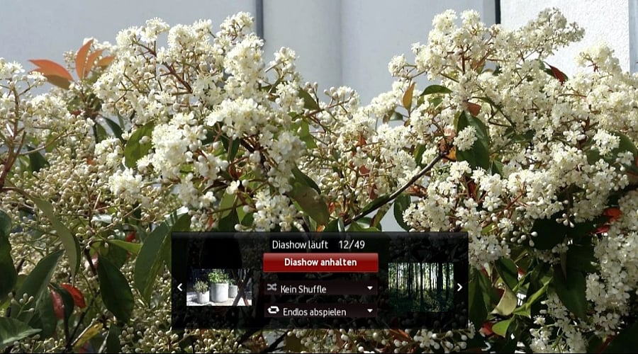 Media Center – správa fotografií