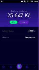 Virtuální účet Richee.