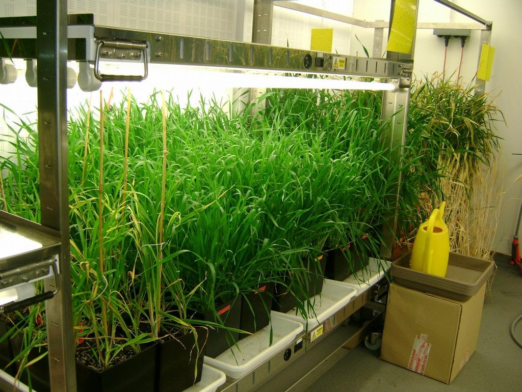 2019-02-centrum-regionu-hanc3a1-pro-biotechnologickc3bd-a-zemc49