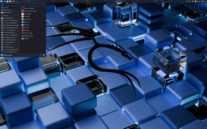 Kali Linux 2025.1a