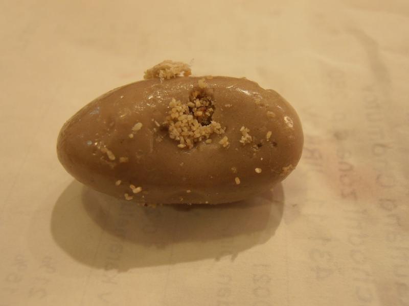 Častá svízel ořechů - škůdci a jejich pozůstatky