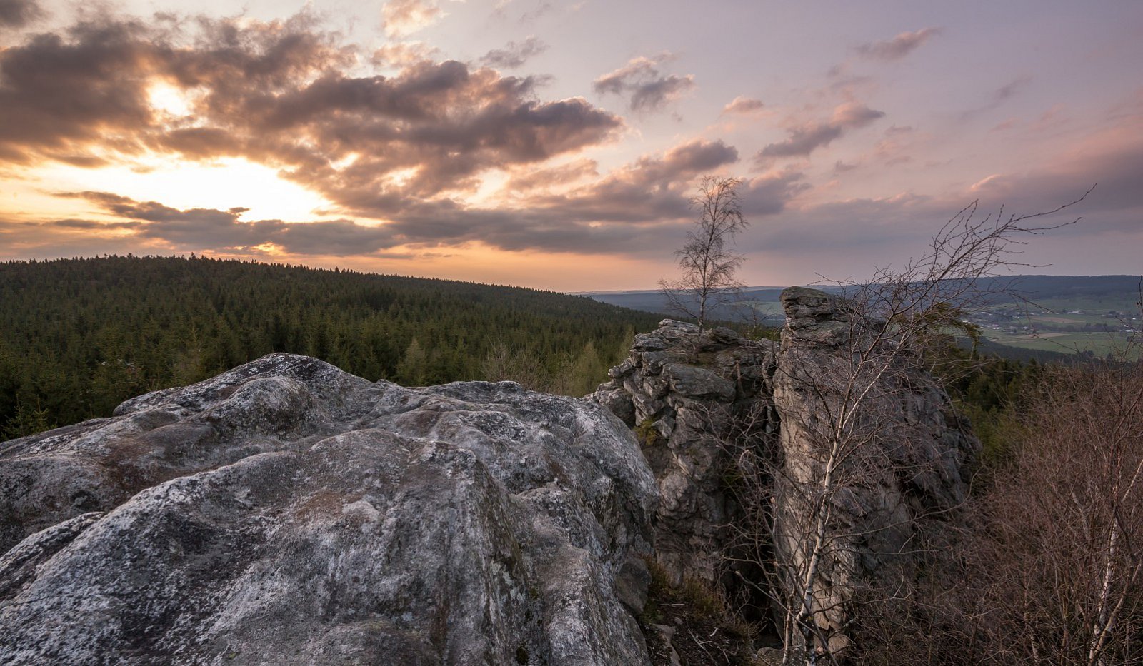 Česká televize: jaro 2016
