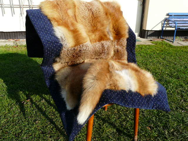 Kožešnictví je krásná a tradiční práce, říká Dana Gibalová