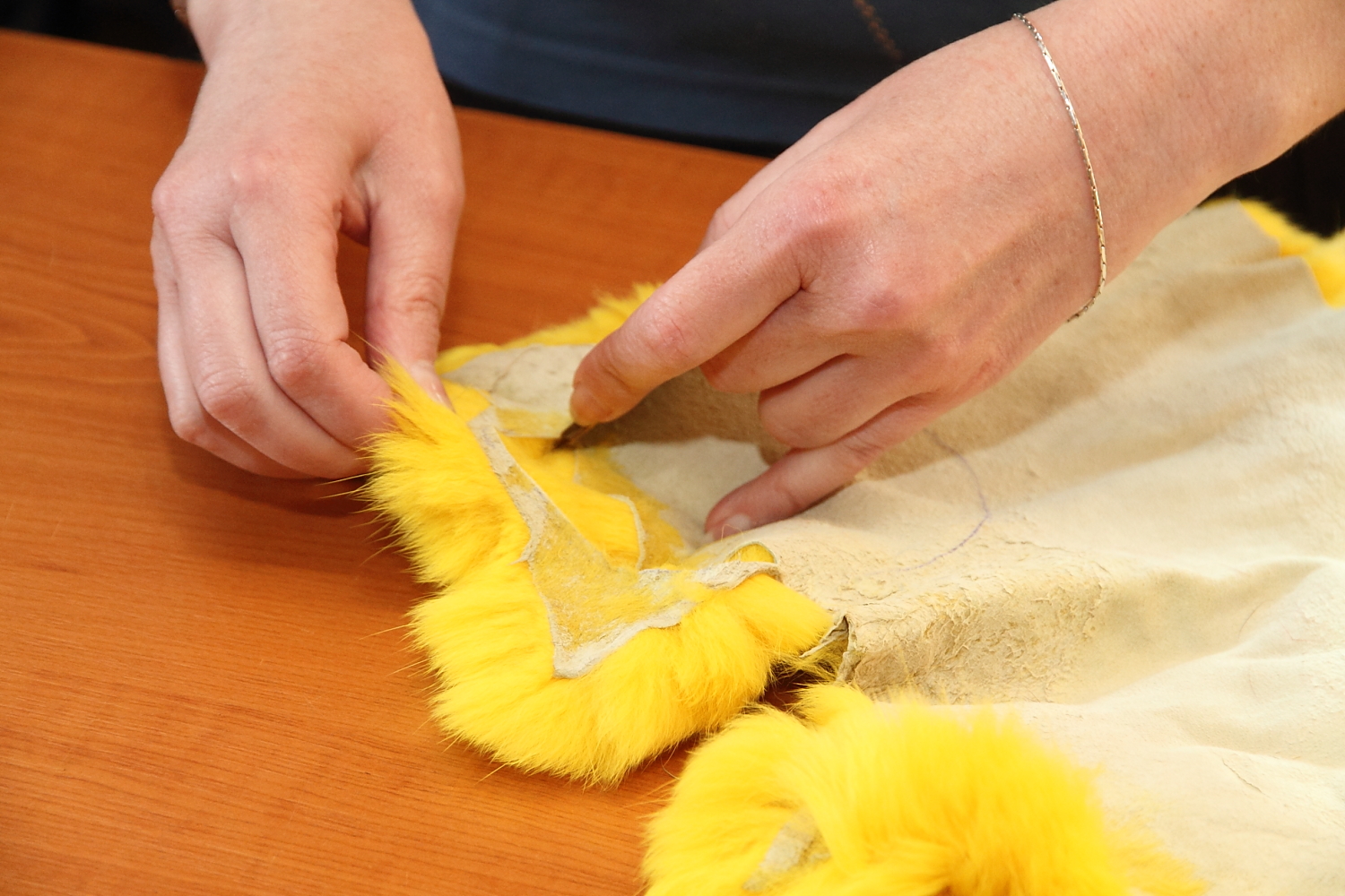 Kožešnictví je krásná a tradiční práce, říká Dana Gibalová