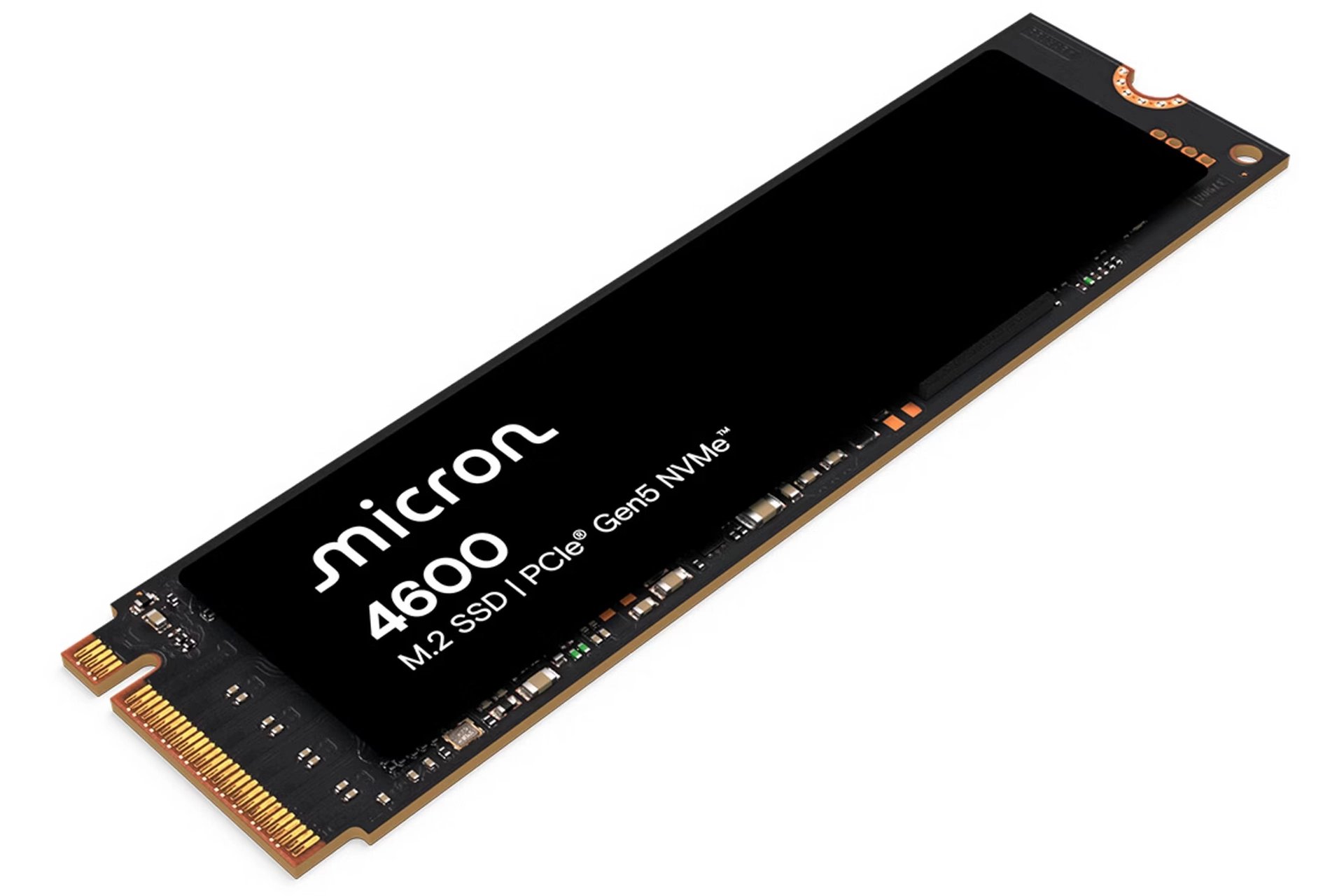 Micron 4600