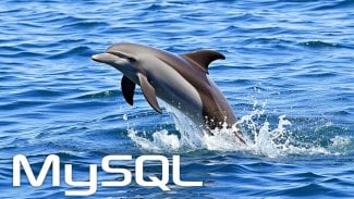 Delfín s logem MySQL