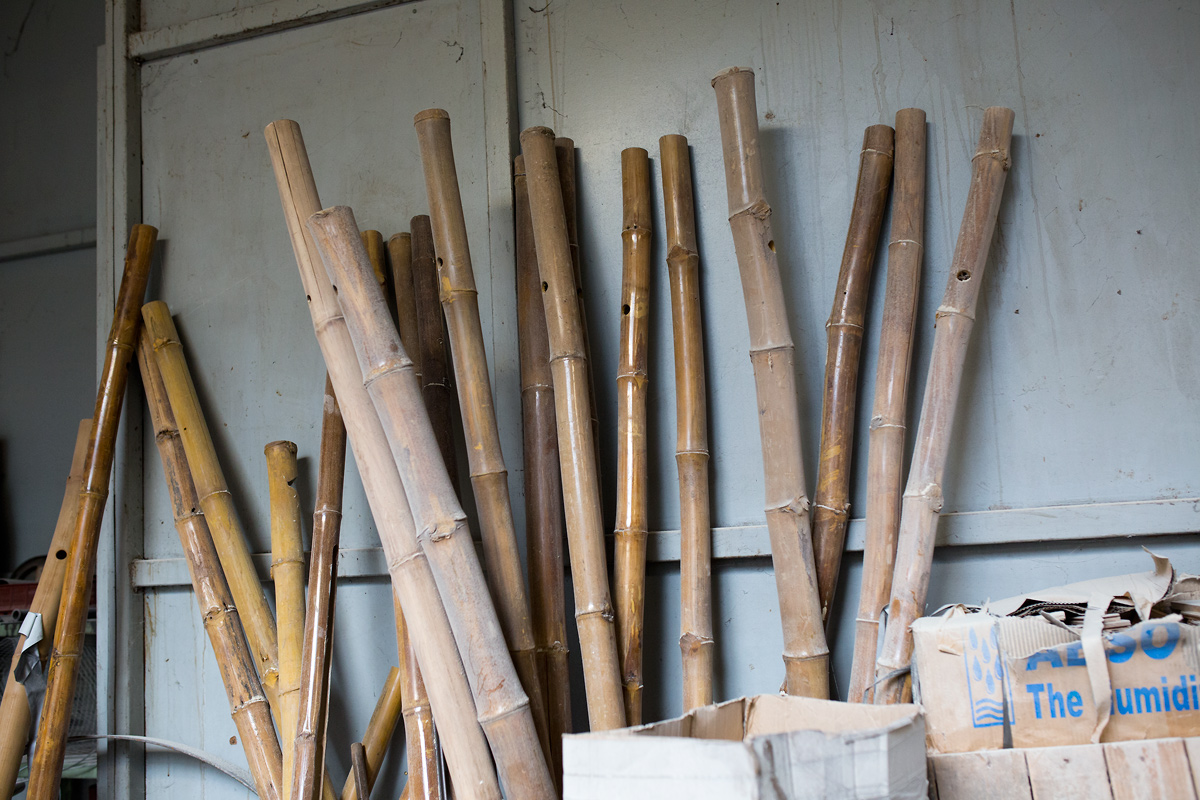 V branických ledárnách vznikají unikátní bambusové konstrukce