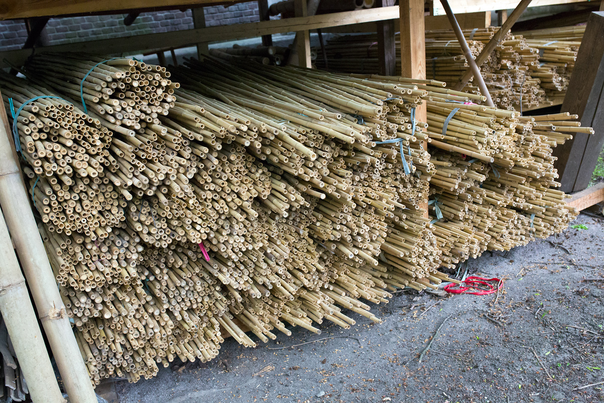 V branických ledárnách vznikají unikátní bambusové konstrukce