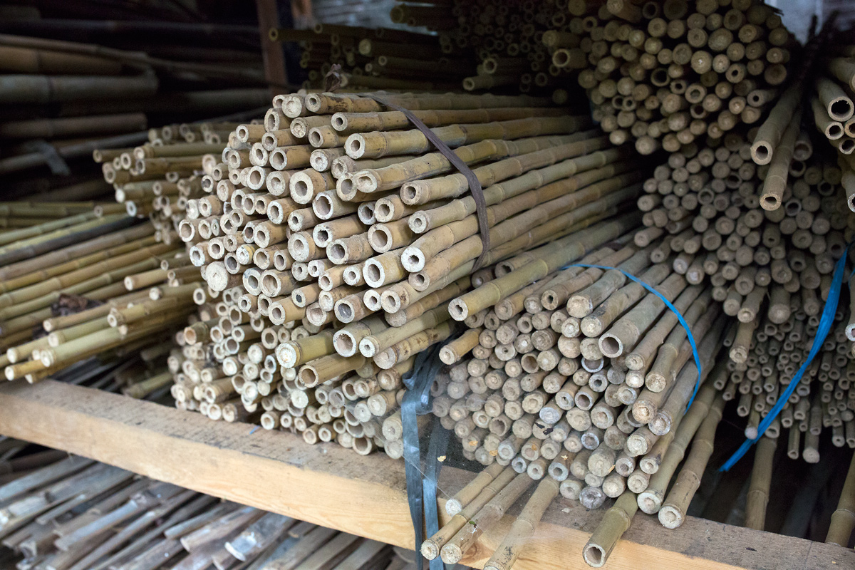 V branických ledárnách vznikají unikátní bambusové konstrukce