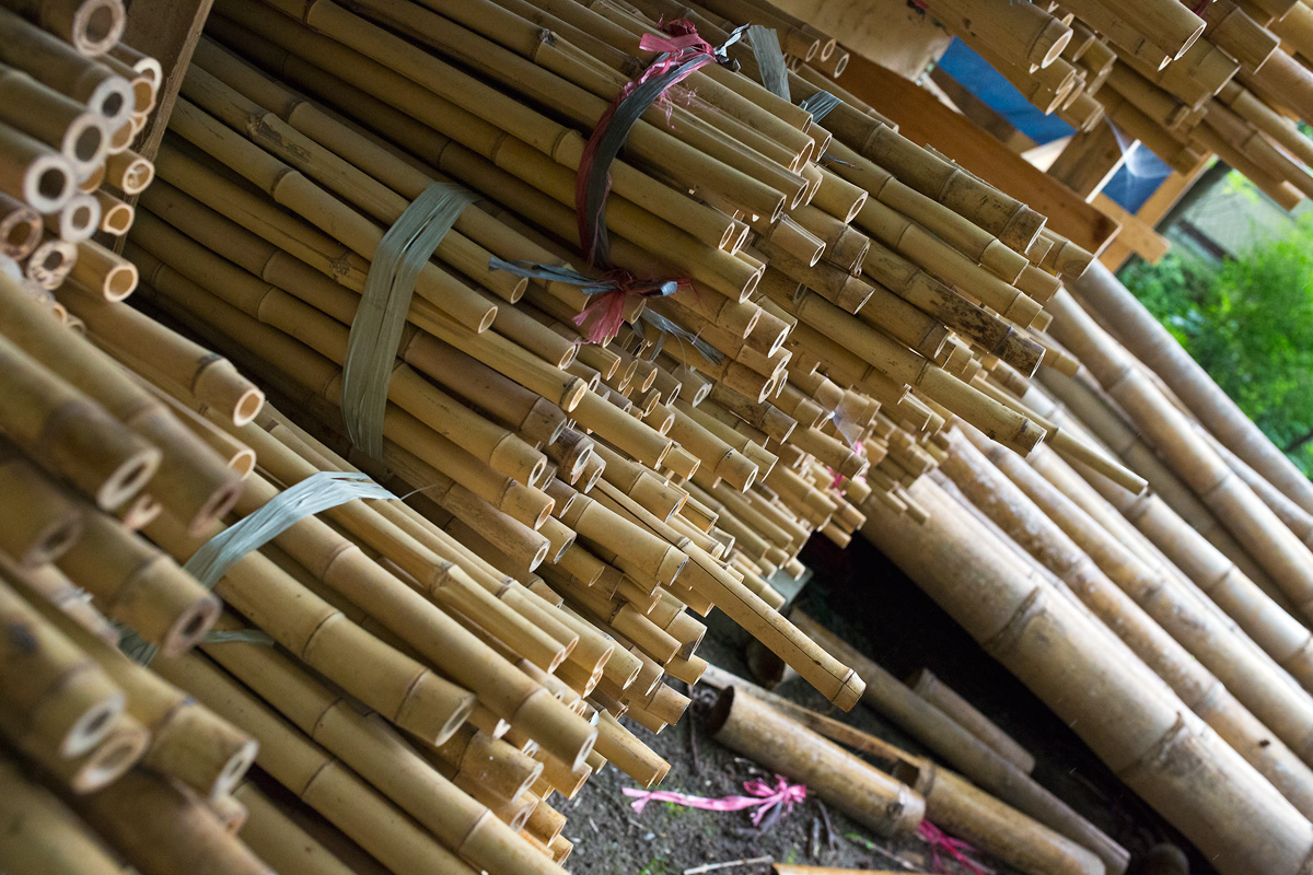 V branických ledárnách vznikají unikátní bambusové konstrukce