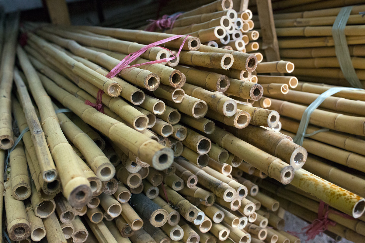 V branických ledárnách vznikají unikátní bambusové konstrukce