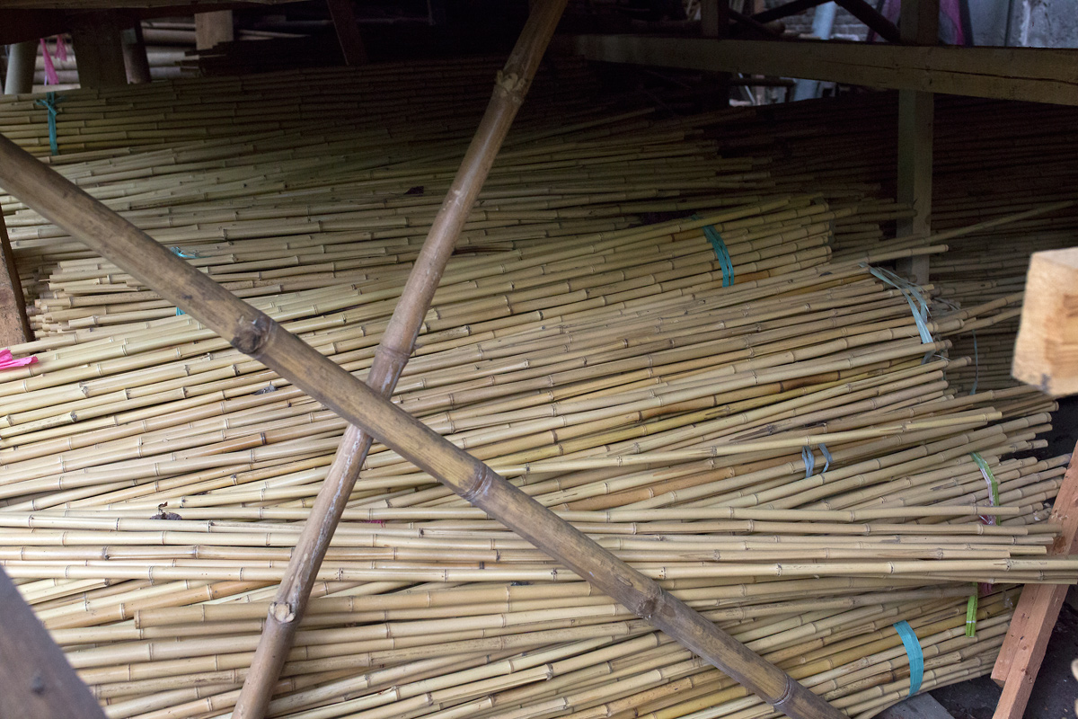 V branických ledárnách vznikají unikátní bambusové konstrukce