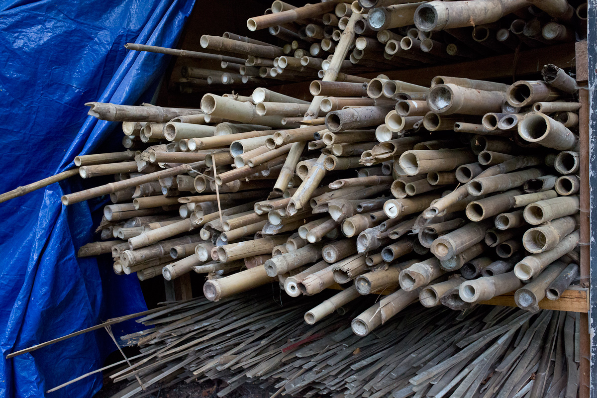 V branických ledárnách vznikají unikátní bambusové konstrukce