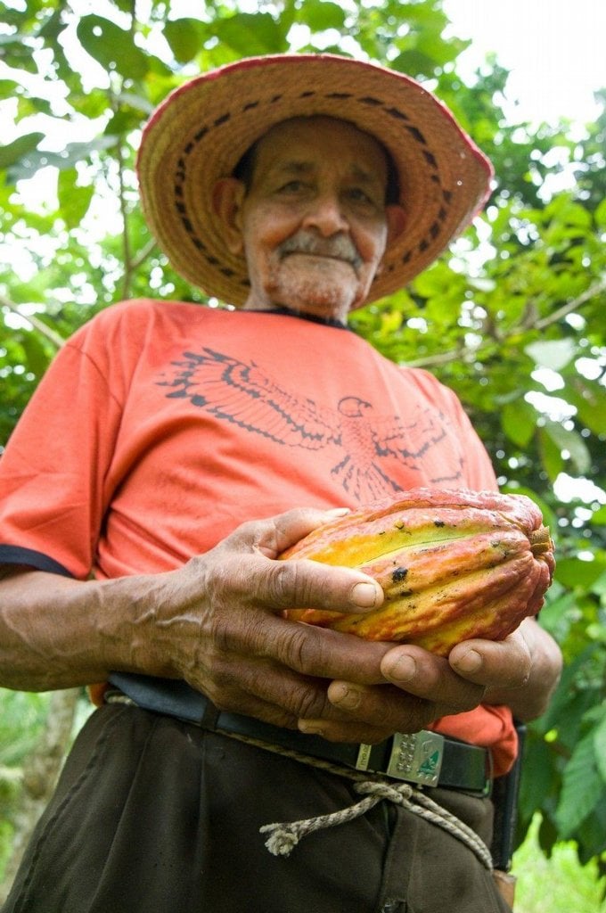 2019-05-dilema-farmc3a1c599c5af-pc49bstovat-kakao-nebo-koku-5.jp