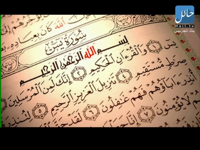 Nové hvězdy na satelitním nebi 25. února až 2. března