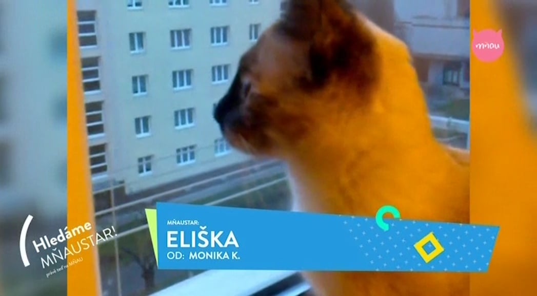 Nové hvězdy na satelitním nebi 25. února až 2. března