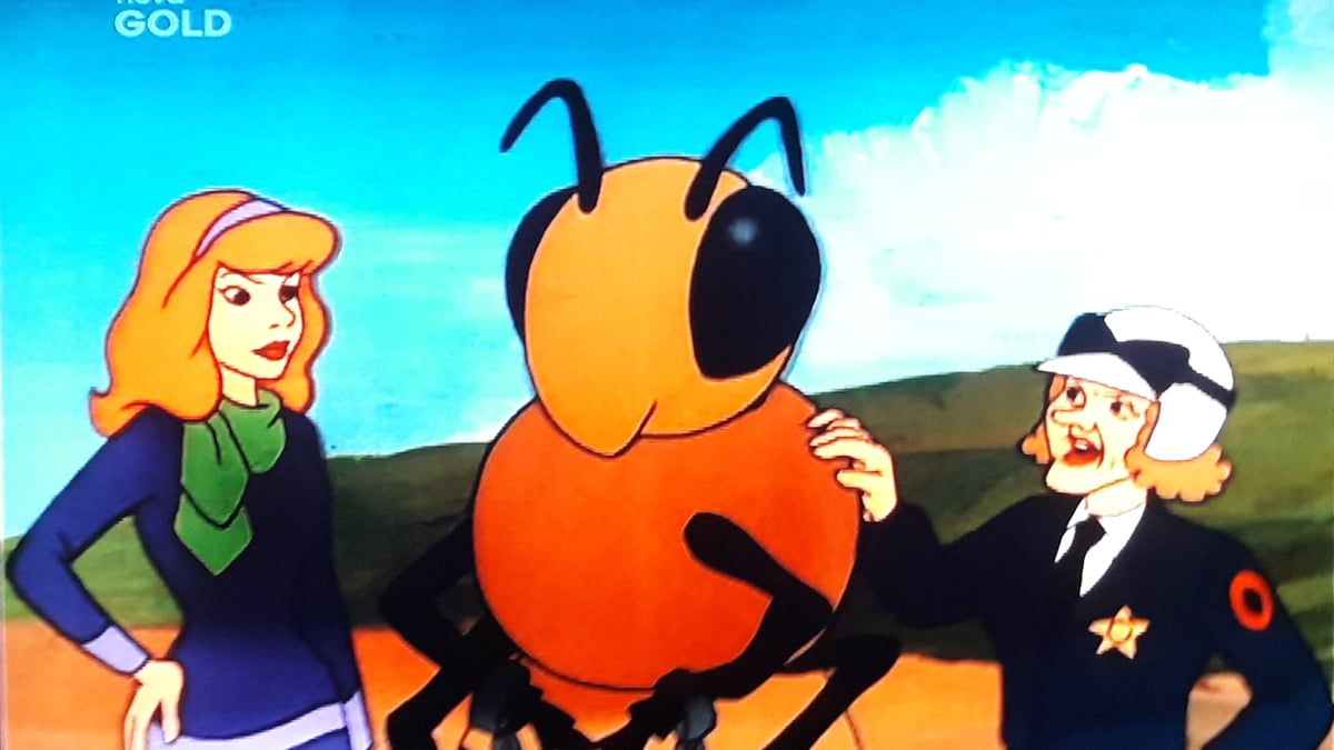 Ukázka příjmu – multiplex Digital Broadcasting (MUX 4)