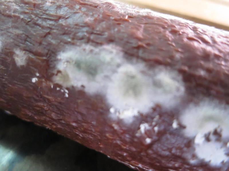 57 nálezů v kategorii nebezpečných potravin. Prodejna DANH HUNG NGUYEN Dřevnovice, salám Vysočina. Na povrchu výrobku se vyskytovala plíseň viditelná pouhým okem. Výrobek měl neznámé datum spotřeby.