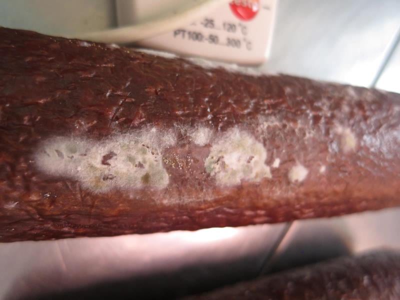 57 nálezů v kategorii nebezpečných potravin. Prodejna DANH HUNG NGUYEN Dřevnovice, salám Vysočina. Na povrchu výrobku se vyskytovala plíseň viditelná pouhým okem. Výrobek měl neznámé datum spotřeby.