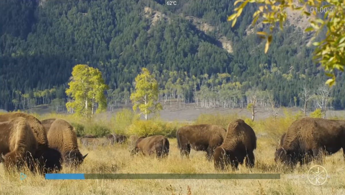 Přehrávání video souborů MX9 Pro