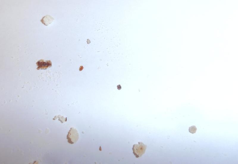 Dětská kaše s hrudkami nemusí být jen vizitkou nešikovné kuchařky, ale již výrobce