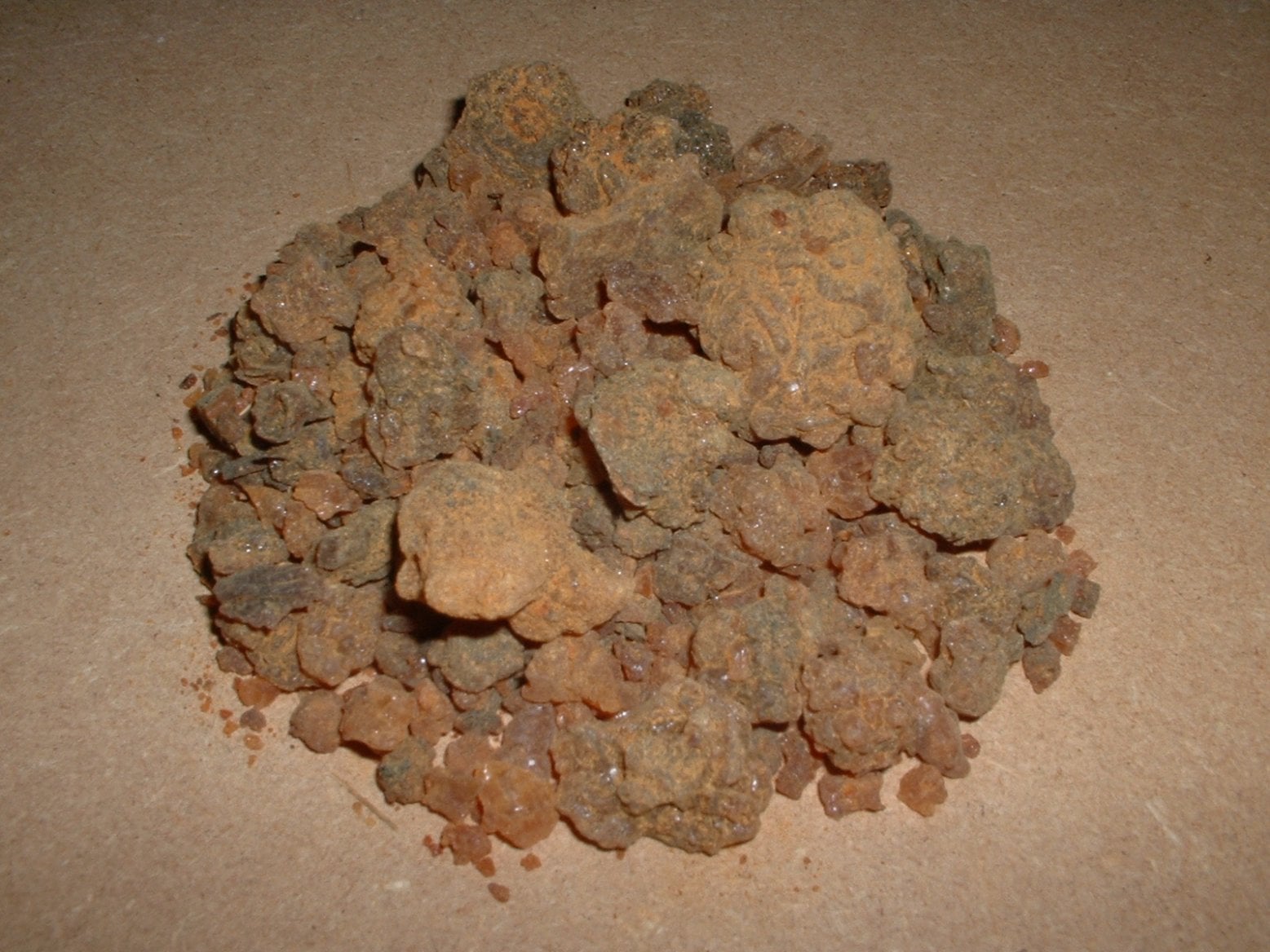 Myrha, Commiphora myrrha