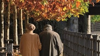 Náhledový obrázek - Alzheimerovou chorobu je podle vědců možné předpovědět testem